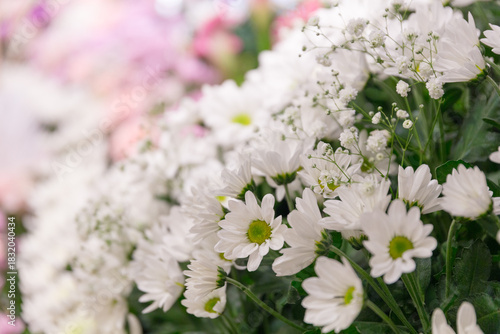 Wallpaper Mural 花のデコレーション、供花、花束のイメージ Torontodigital.ca