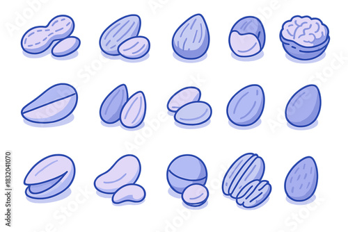 Different kinds of nuts and seeds arranged in rows showcasing their unique shapes and textures
