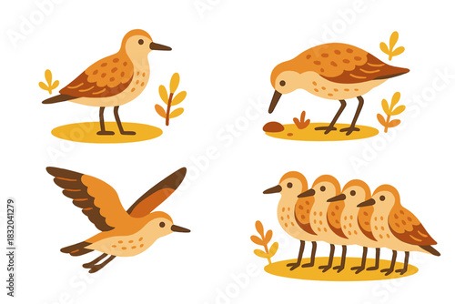 Colorful birds interacting in a nature setting during a sunny afternoon