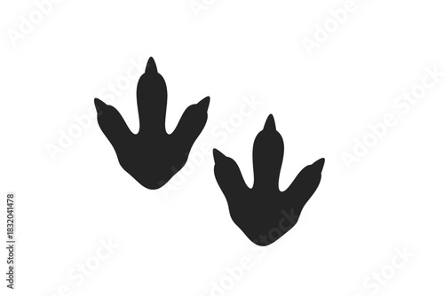 Tracks of a bird on a sandy surface revealing the natural environment and wildlife activity during daylight