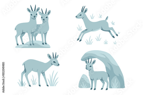 Two mountain goats standing on rocks with one goat jumping in a grassy area during a sunny day