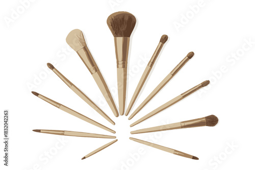 Collection of makeup brushes arranged in a fan shape on a plain background showcasing their variety and design features