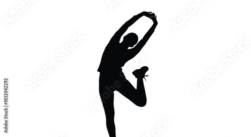 Adobe Illustrator Artwork