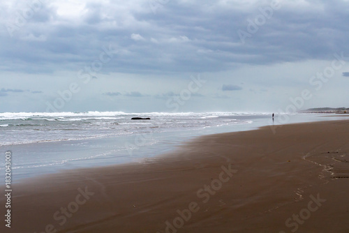 A wide coastal landscape featuring an expansive stretch of brown sand and rolling ocean waves under a cloudy sky. A distant solitary figure stands near the waterline, emphasizing the vast scale.