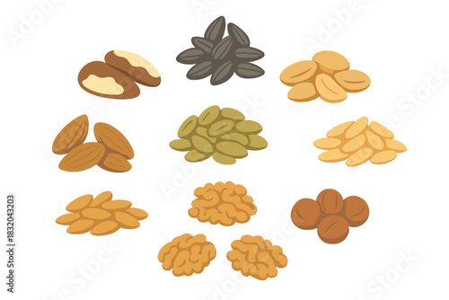 Various types of nuts and seeds arranged artfully on a white background for healthy snacking options
