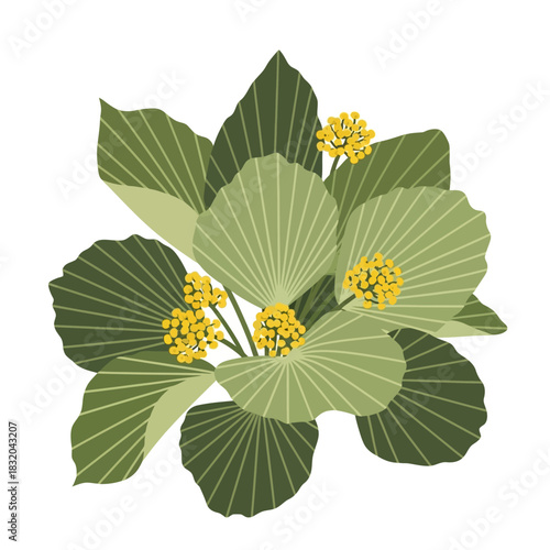 Stylized botanical illustration featuring verdant foliage and vibrant yellow floral clusters