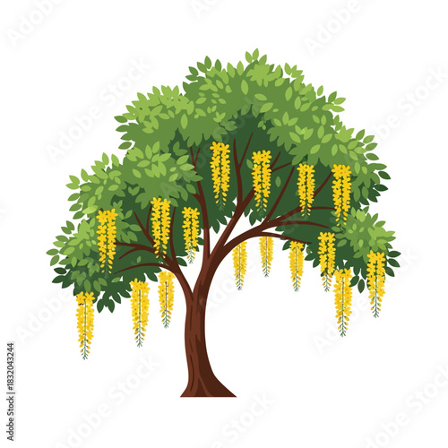 Golden Shower Tree Flourishing with Abundant Yellow Flowers in Full Bloom Spring Season