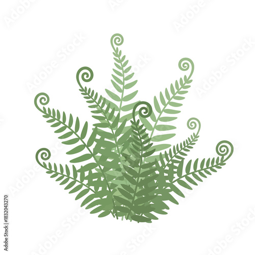 Stylized fern fronds illustration with unfurling tips creates a naturalistic composition