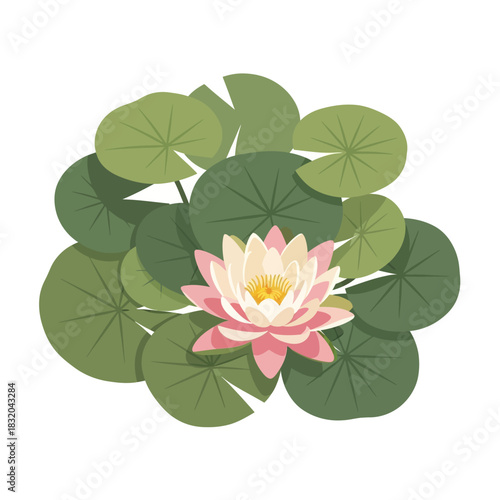 Elegant water lily blossom amidst vibrant green lily pads in a serene pond setting