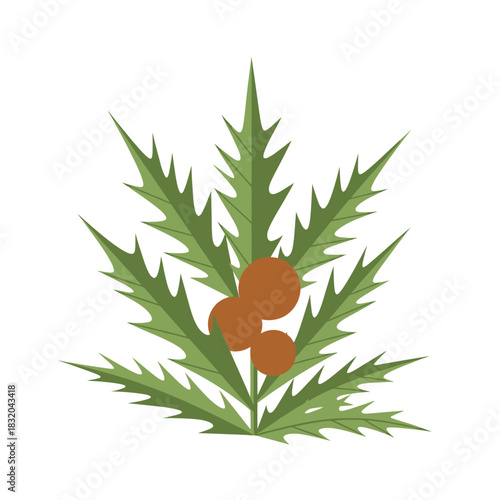 Stylized botanical illustration featuring spiky leaves and spherical berries evoking winter holidays