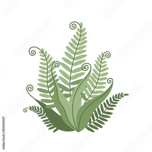 Elegant stylized fern illustration showcasing swirling fronds with a subtle color palette