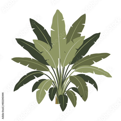 Lush botanical illustration presenting a verdant stylized tropical foliage arrangement