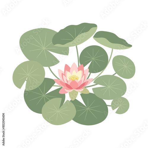 Elegant water lily illustration with pastel colors showcasing its refined simplicity and delicate