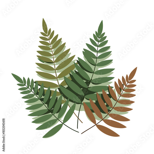 Arrangement of abstract fern leaves in varied shades of green and brown tones