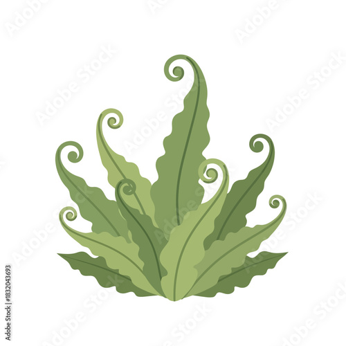 Stylized vector illustration showcasing lush verdant foliage with ornate curly fronds ornamentation