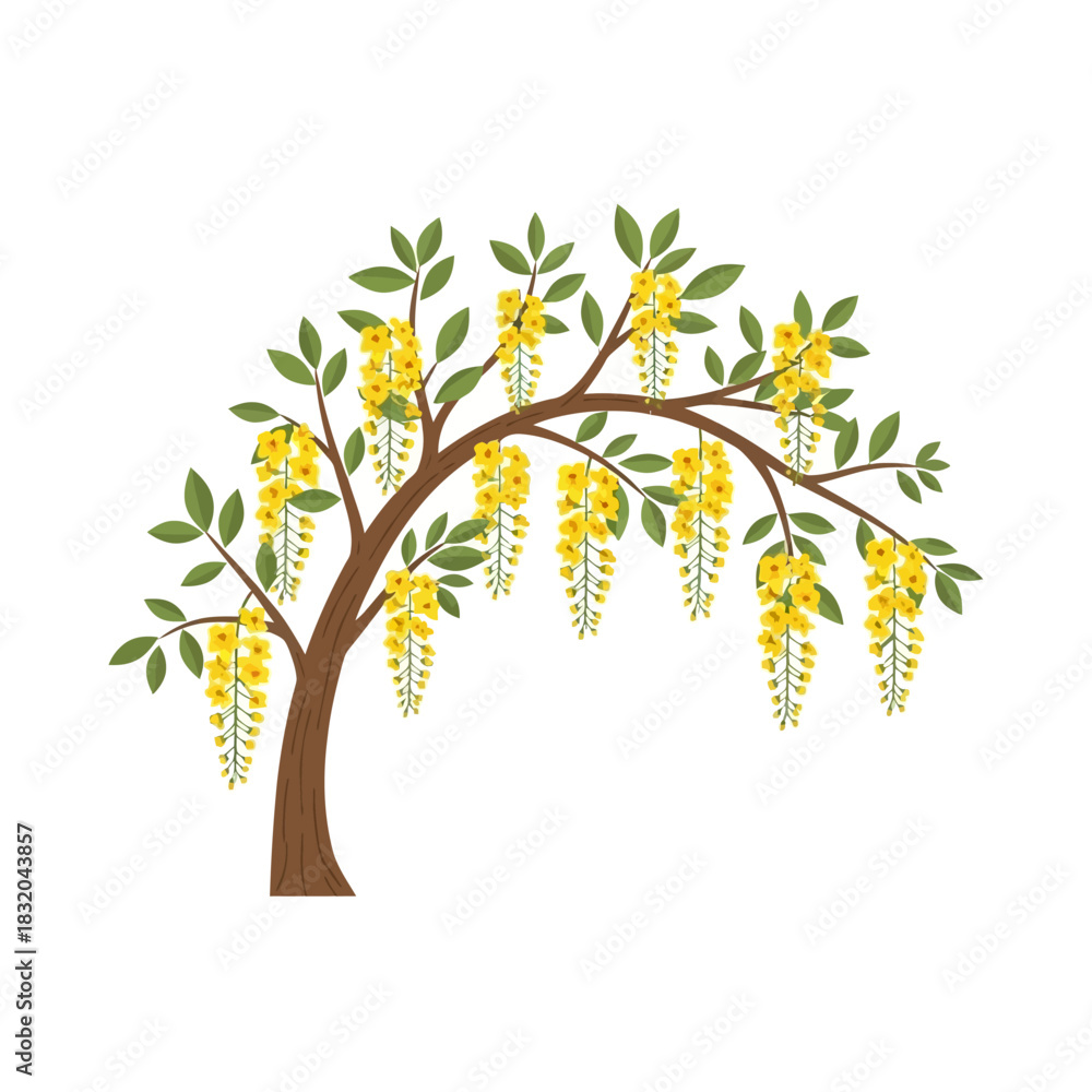 Fototapeta premium Golden shower tree illustration with cascading blooms creating an elegant floral canopy arrangement