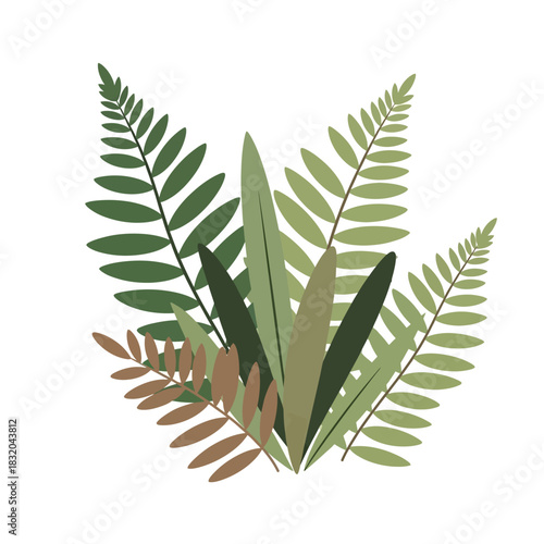 Elegant fern and leaf arrangement: A stylized botanical composition for design elements