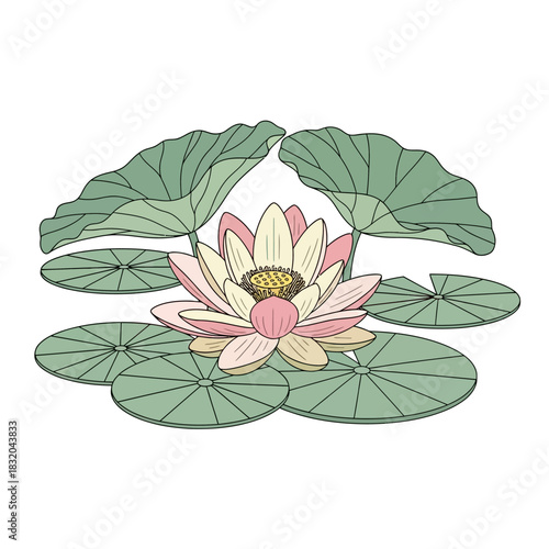 Watercolor illustration of a serene water lily blossom amidst lush green lily pads resting in