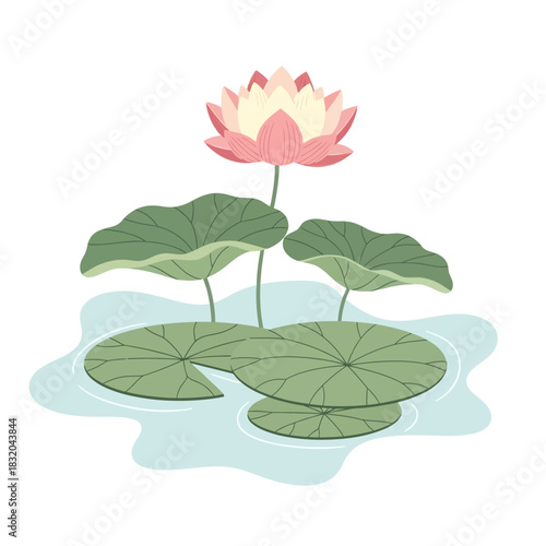 Elegant water lily illustration with subtle color palette and delicate leaf texture creates a