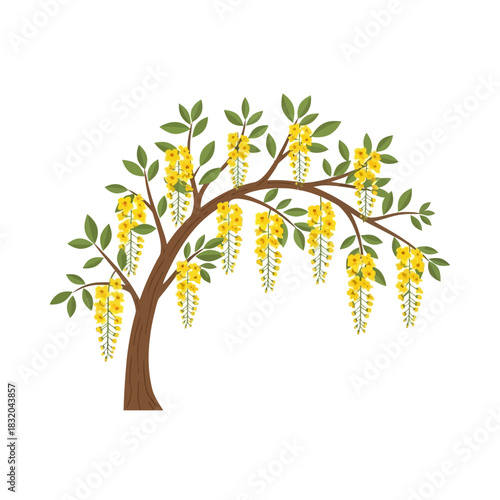 Golden shower tree illustration with cascading blooms creating an elegant floral canopy arrangement