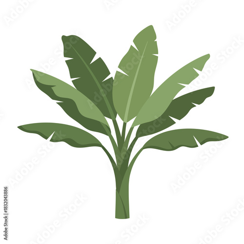 Stylized banana plant illustration with vibrant green leaves, a vector graphic representation