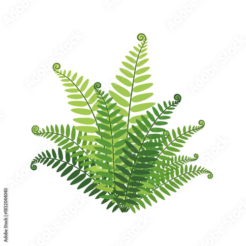 Stylized botanical fern illustration showcasing intricate fronds against plain background