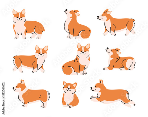 A collection of Welsh Corgi in different poses. Vector illustration in hand drawn style