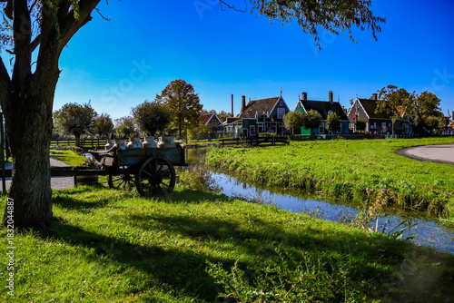 Rural scene at Zaanse Schans featuring vintage milk churns, green grass, and historic houses