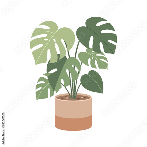 Stylized monstera deliciosa plant illustration creates a vibrant botanical indoor aesthetic