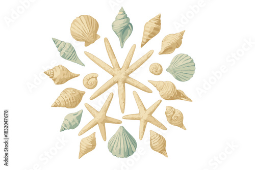 Seashells and starfish arranged in a circular pattern on a light background