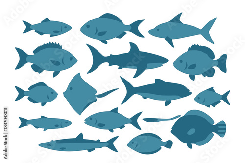 Various types of fish swimming together in shades of blue showing their unique shapes and sizes