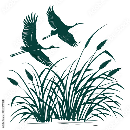 Two elegant cranes gracefully flying over a marsh with tall reeds and cattails