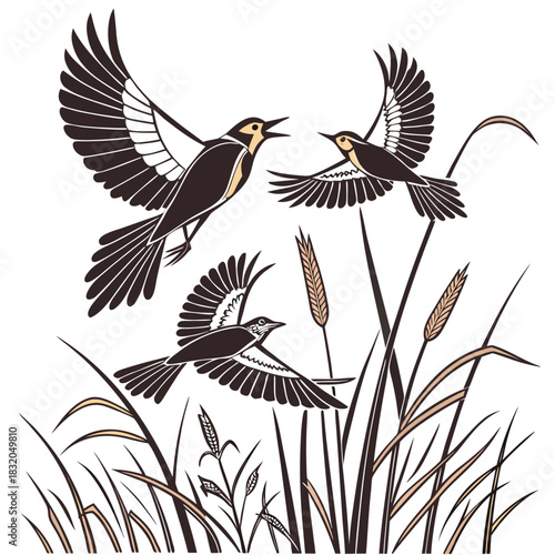 Three stylized birds in flight with wings spread above tall grasses and wheat stalks