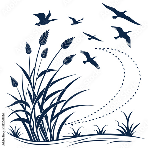 Flock of geese flying over tall reeds and water during migration season