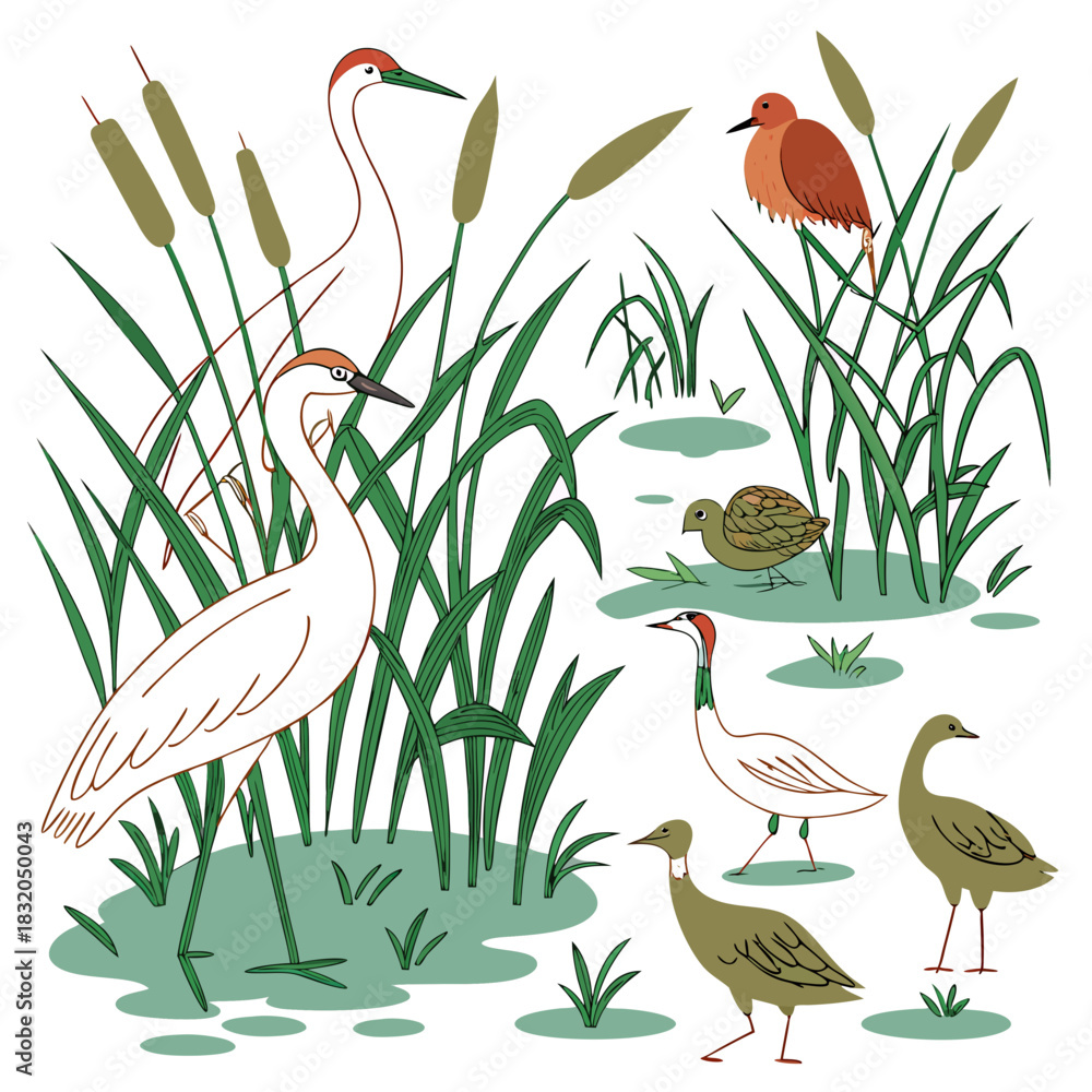 Obraz premium Diverse collection of wading birds and waterfowl gathered in a marshy wetland habitat with cattails and reeds