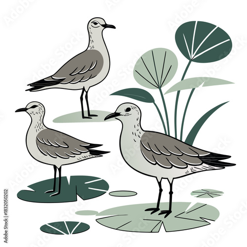 Three stylized shorebirds standing on lily pads with aquatic plants in the background