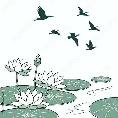 Serene water lilies and lily pads float on calm water with a flock of birds flying overhead