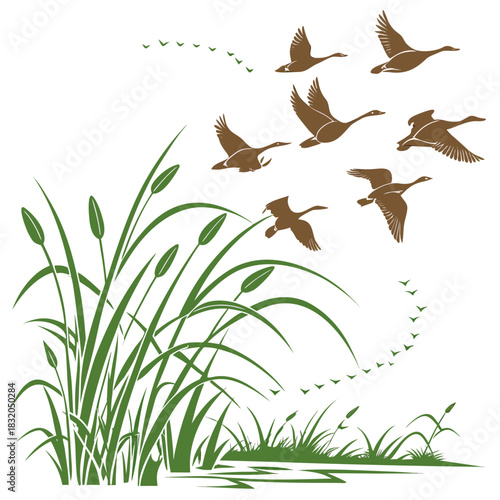 Flock of geese flying over cattails and reeds by a calm water body