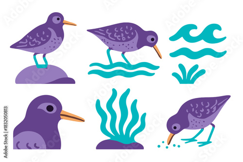 Colorful bird illustrations by the water with waves and vegetation in a playful style