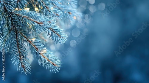 Frosty Christmas tree branches with bokeh lights on a blue background banner, featuring copy space for text, captured with a wide-angle lens for a festive, cozy holiday aesthetic.