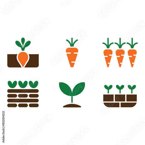 Carrot growth stages illustrated in six simple icons
