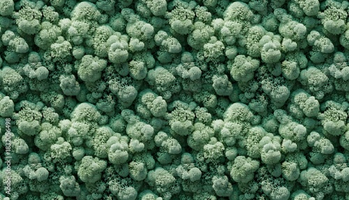 Seamless, high-angle texture of vibrant green, soft, and spongy moss creating an organic, intricate pattern