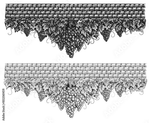 Grapes vineyard, grapevine with bunches of grapes in center on vintage stone wall vector illustration. Set of sketch style vine branches leaves in two variants. Wine labels design, branding