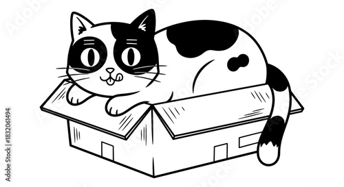Cute cartoon cat in box vector illustration for coloring page