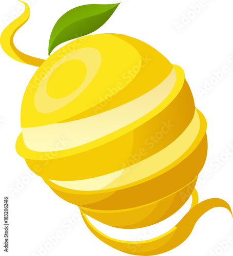 vector illustration of an orange fruit