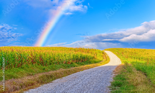 rainbow over the corn field with the composition balanced by gravel  road that arcs over the hill through the farmlands