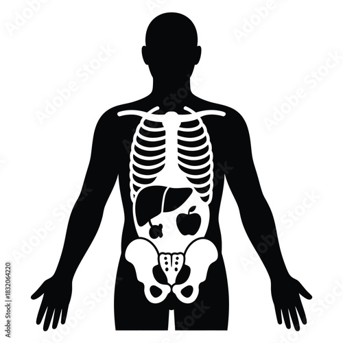 Human anatomy silhouette showing skeleton and internal organs
