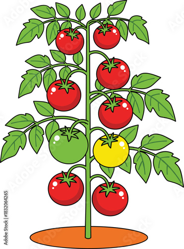 Vibrant Cartoon Tomato Plant Vector Illustration with Ripe Red, Green, and Yellow Fruit, Ideal for Gardening, Organic Food, Fresh Produce, and Healthy Eating Concepts