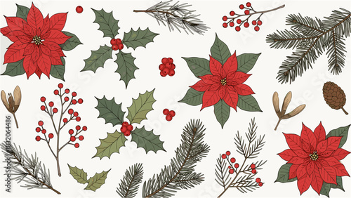 Collection of festive christmas botanical elements like poinsettia flower, holly leaf, pine branch, and berry isolated on