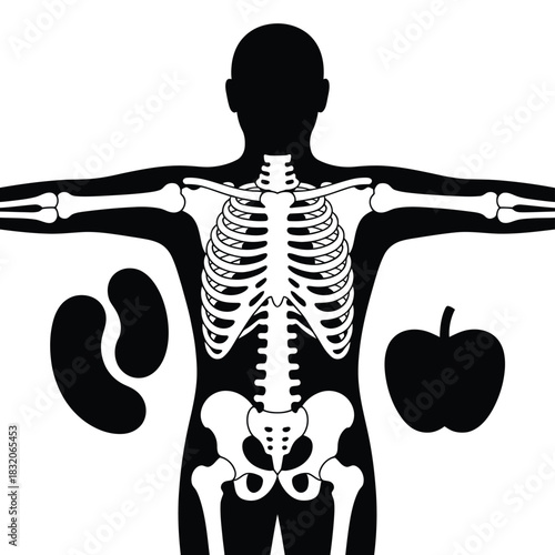 Human anatomy skeleton with kidney and apple icons for health